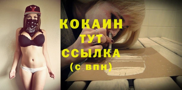 соль курить ск Бородино