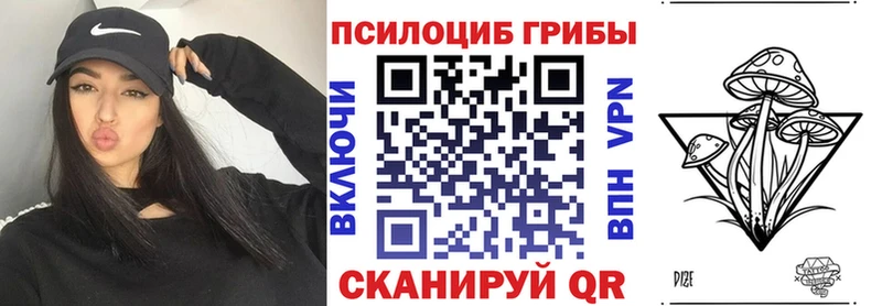 Псилоцибиновые грибы Psilocybe  MEGA ссылки  Палласовка 